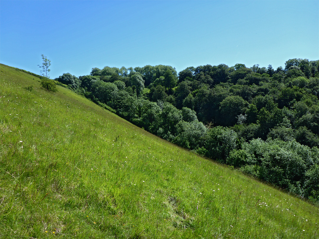 Photographs Of Swift s Hill Nature Reserve Gloucestershire England 