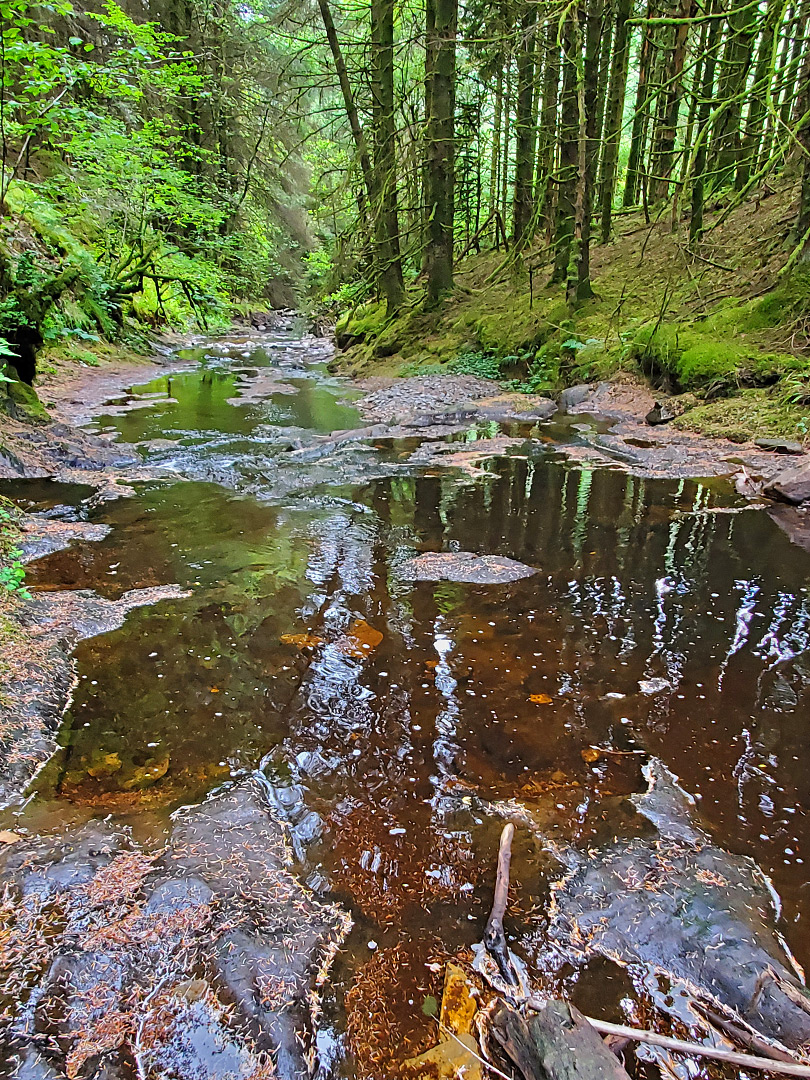 Afon Cammarch