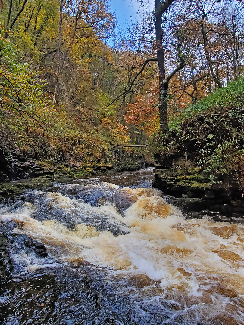 Bend along the river