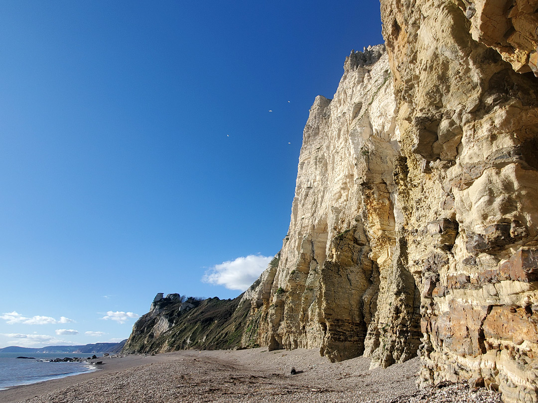 Chalk cliffs