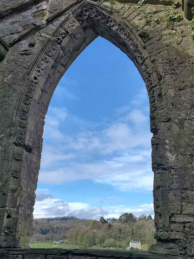 Lancet window