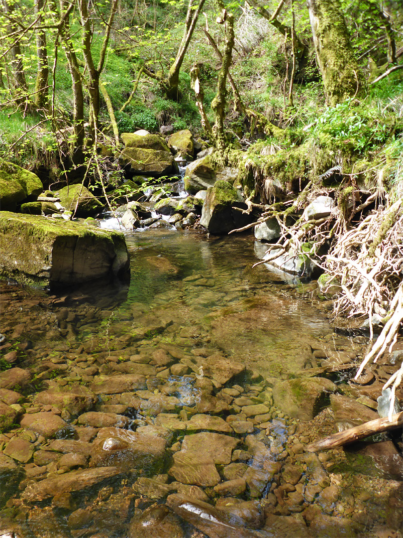 Shallow pool