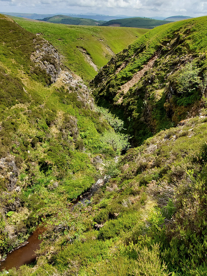 Bushy slopes