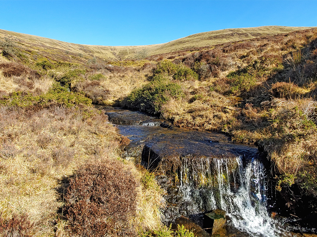 Gargwy Fach