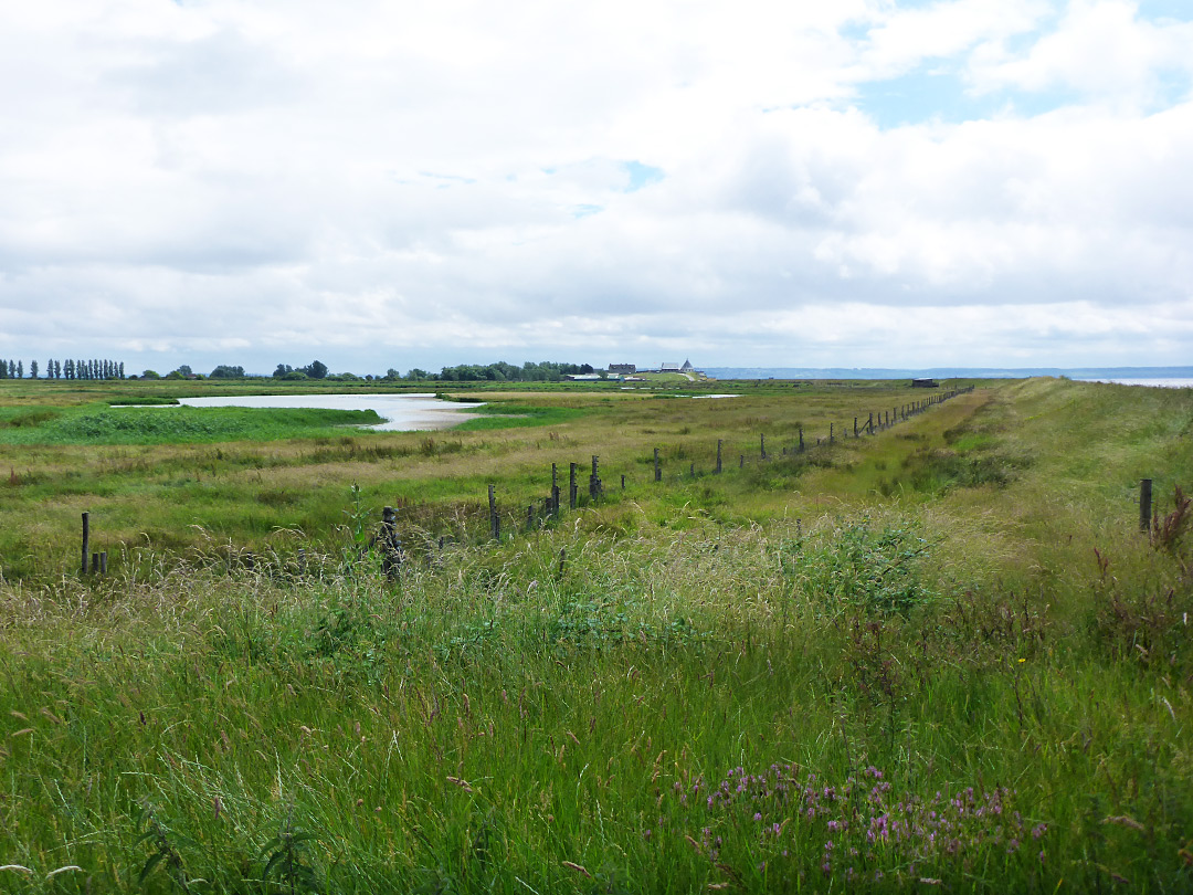 Goldcliff Lagoons