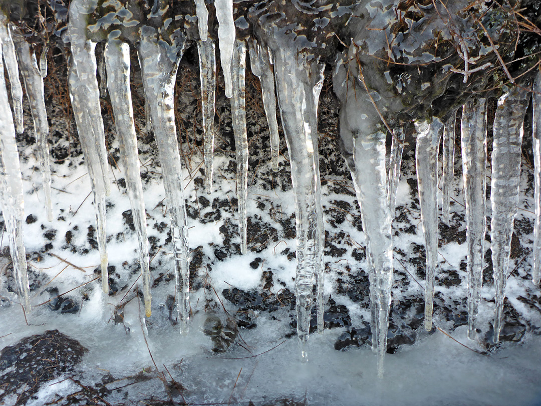 Icicles