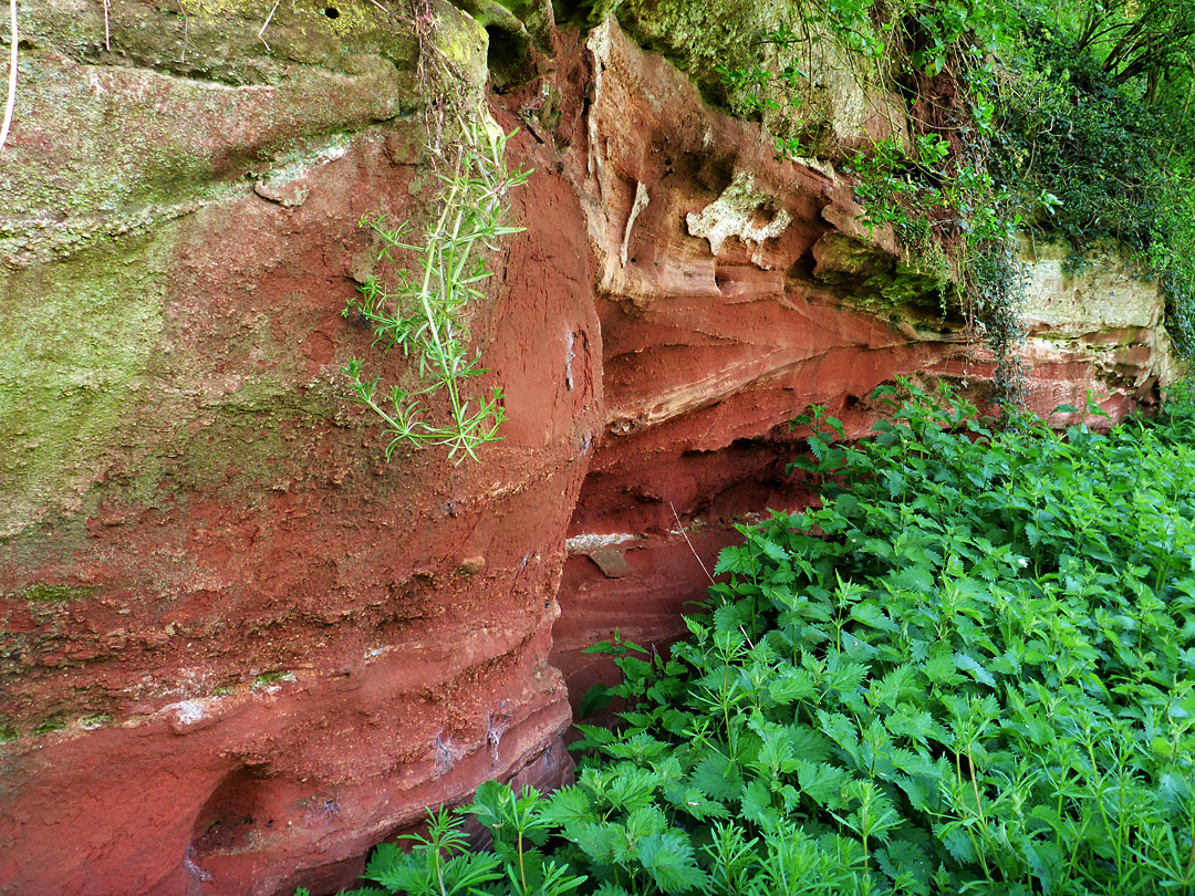 Red rocks