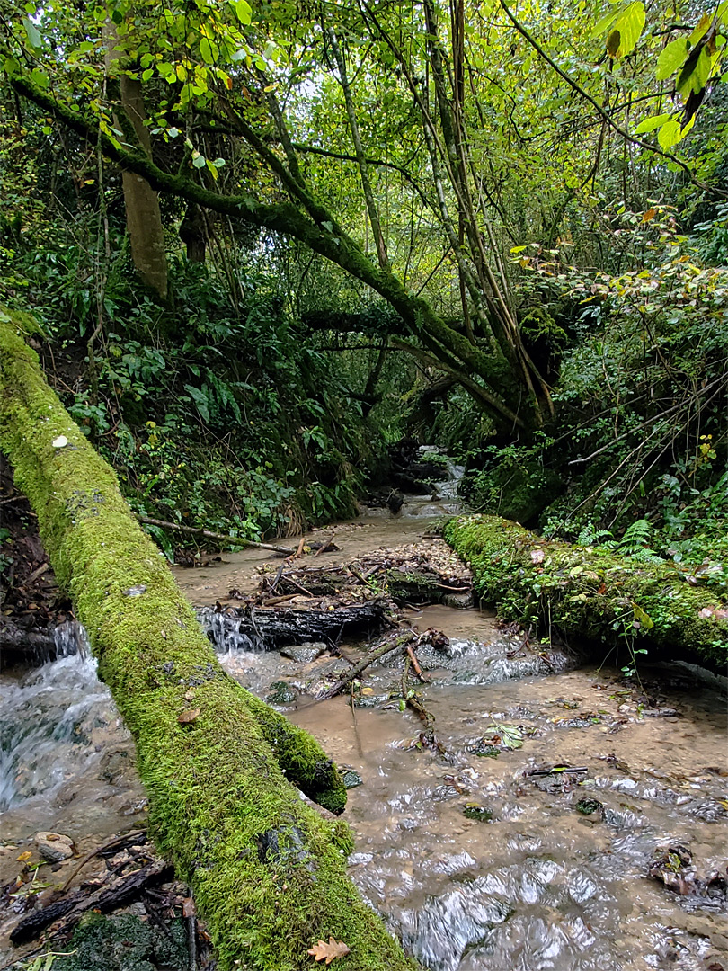 Enclosed part of the stream