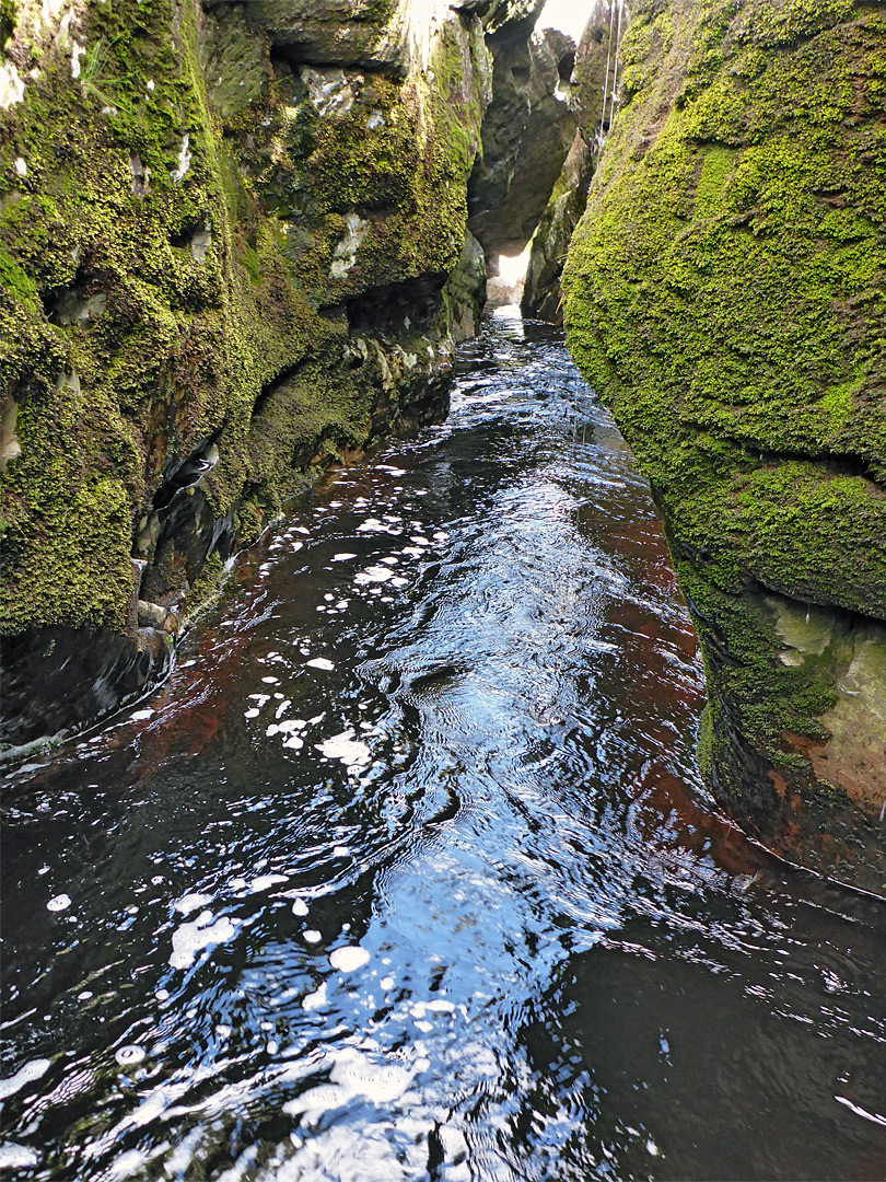 Mossy rocks