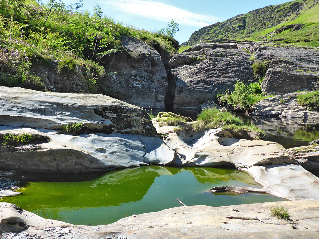 Green pool