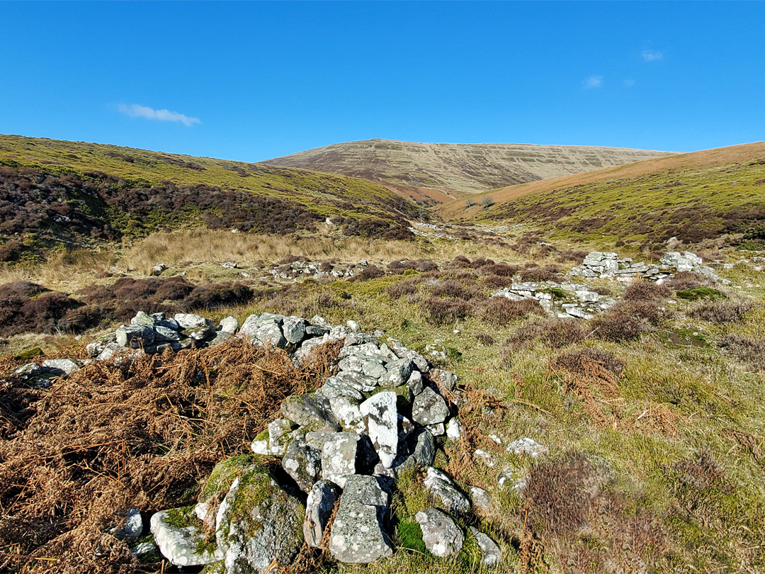 Sheepfold