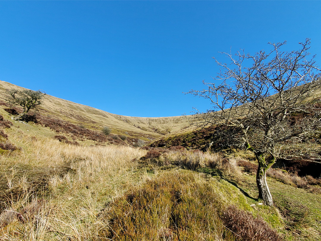 Nant y Gadair