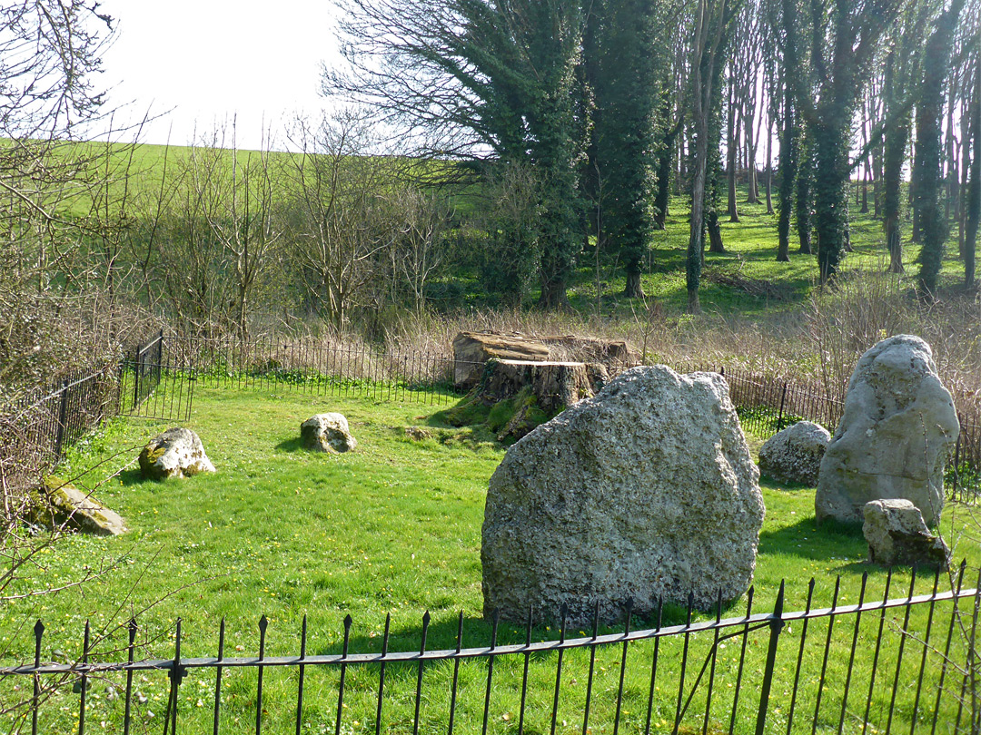 Stones and trees