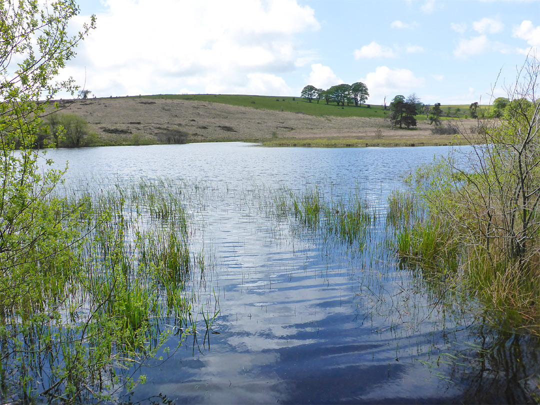 Waldegrave Pool