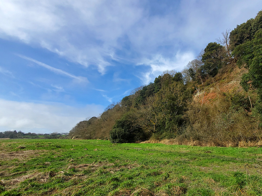 Tidal grassland