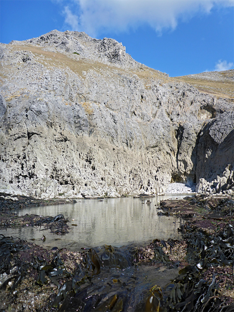 Inter-tidal pool