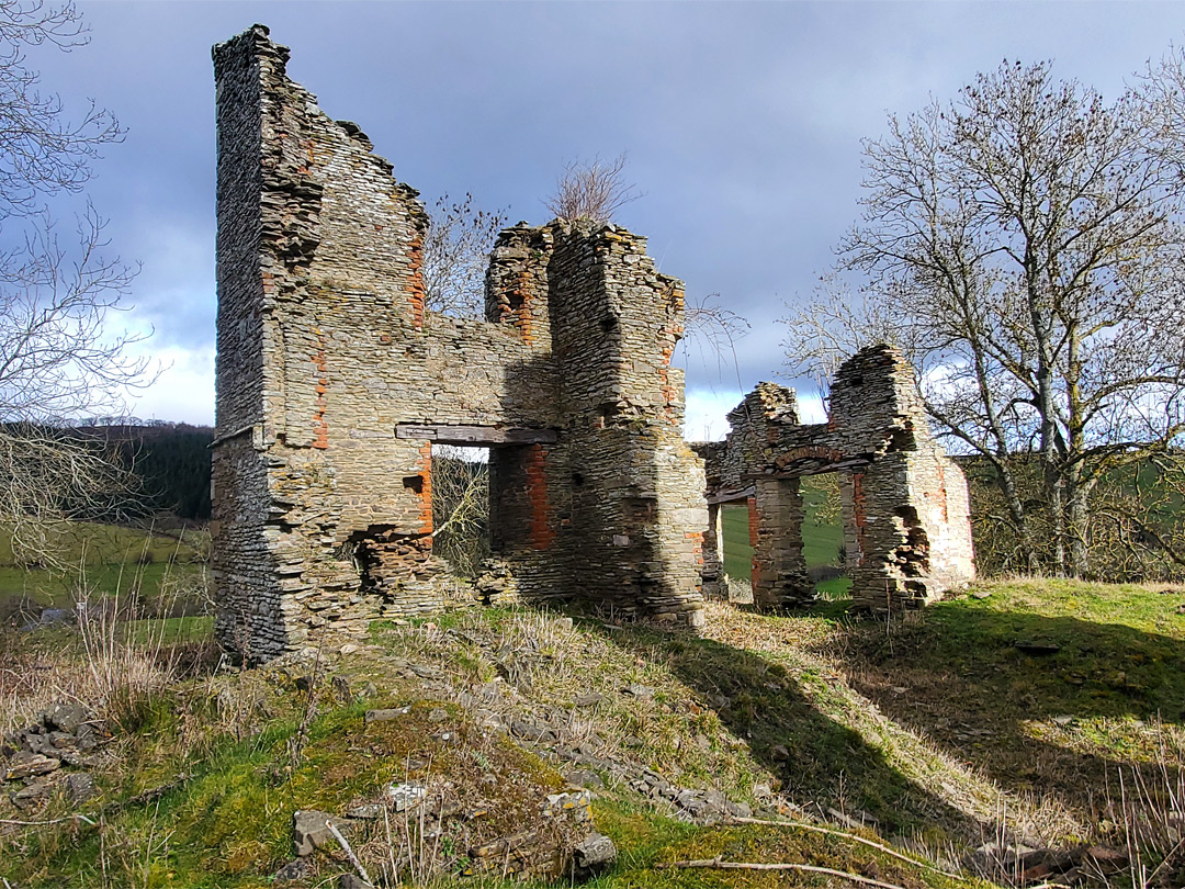 Walls and trees