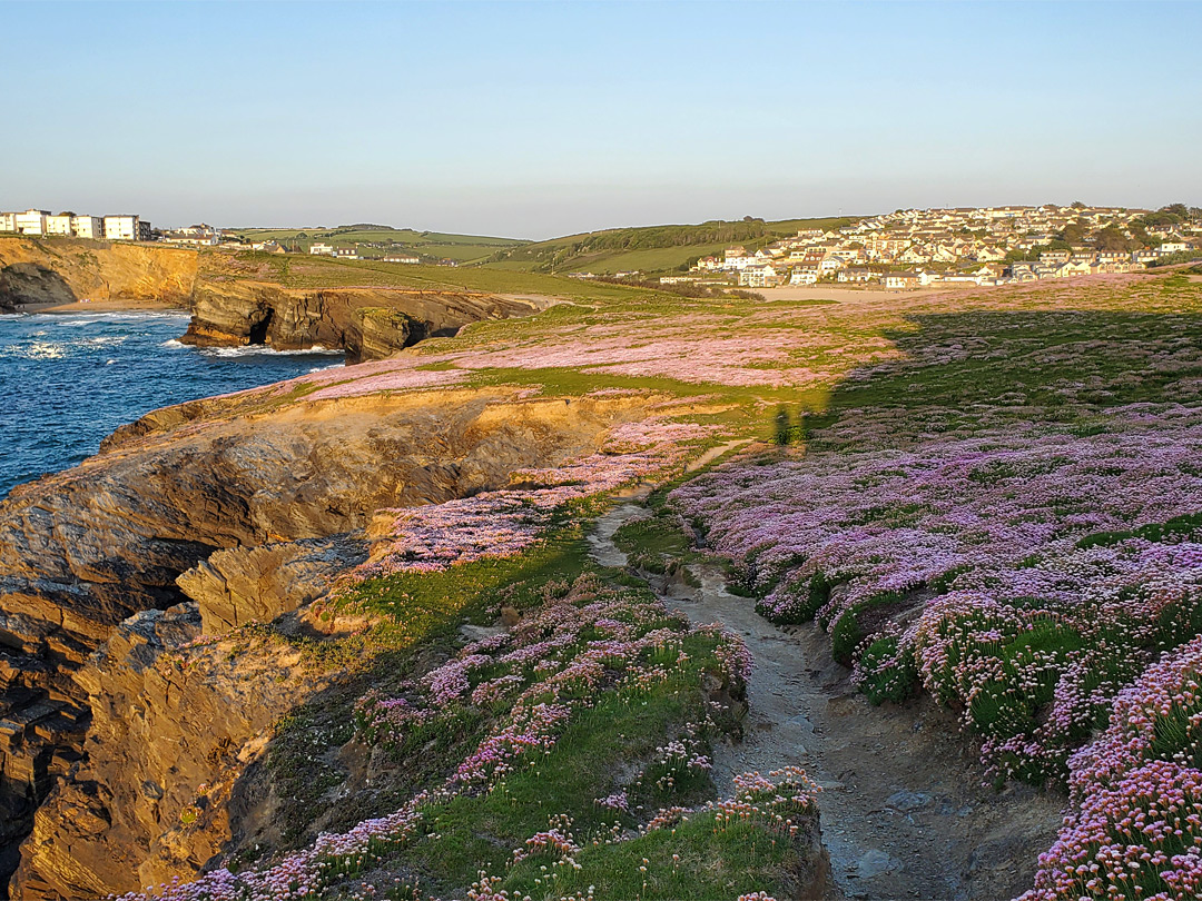 Path across the headland