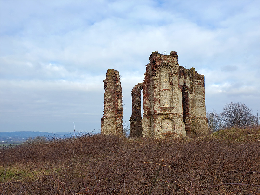 Bushes beside the tower