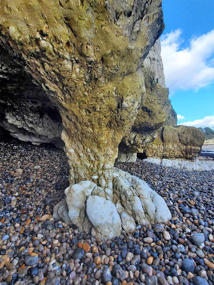 Foot-like formation