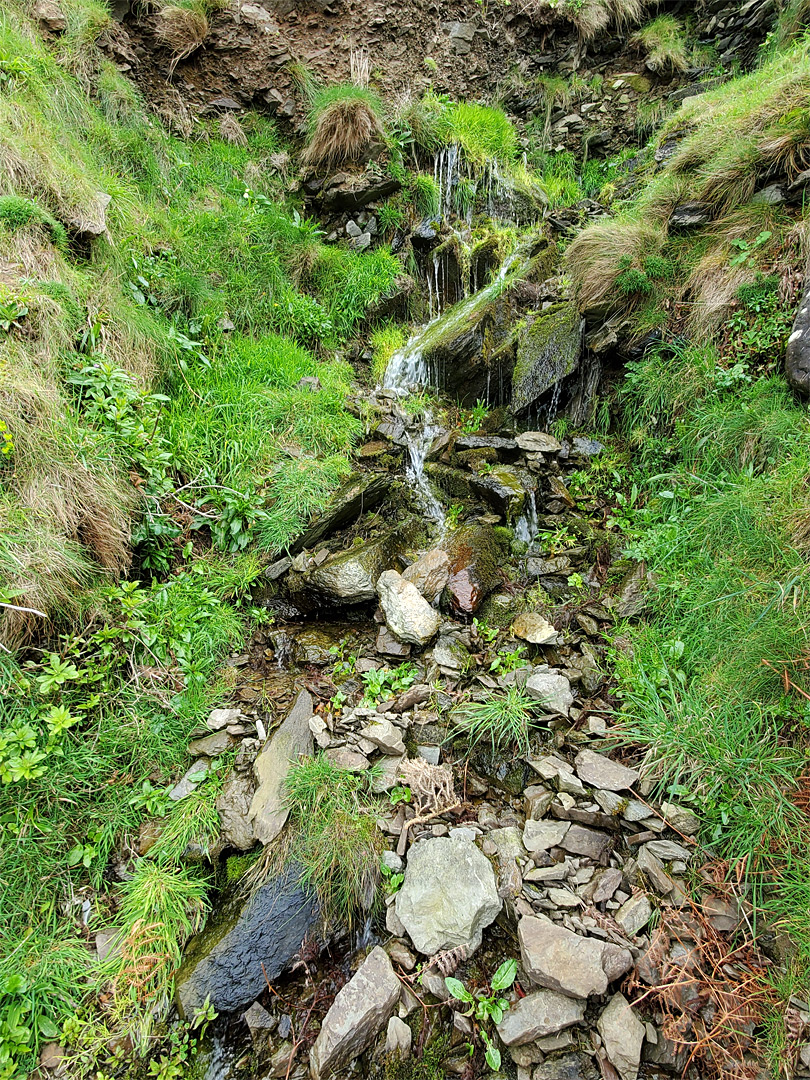 Dripping stream