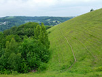 Rodborough Common