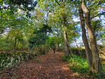 Singe Wood Nature Reserve