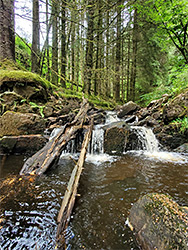 Logs in a pool