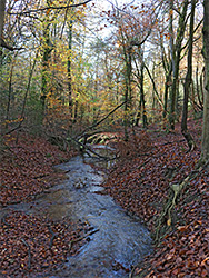 Stream in autumn