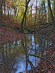 Pool along a stream