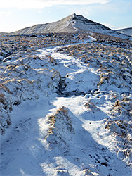 Snowy path