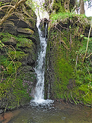 Moss-lined pool