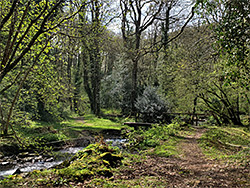 Path over a stream