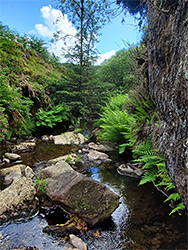 Cliff and stream