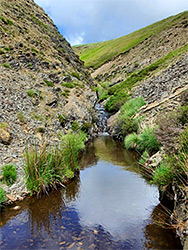 Pool and scree