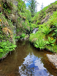 Pool and narrows