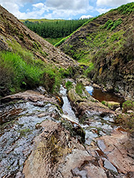 Ledges and pools