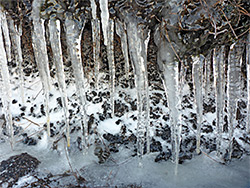 Icicles