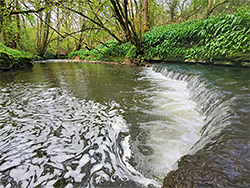 Dam and pool