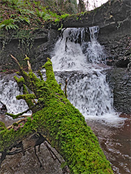 Logs over a stream