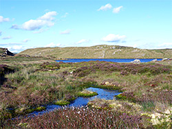 Pond near Lyn y Gorlan