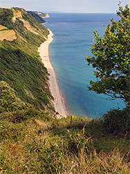 Lower Dunscombe Cliff