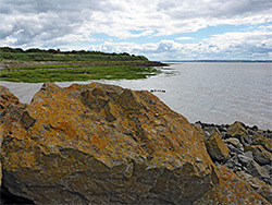 Lichen-covered rock