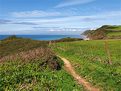 Path along a field