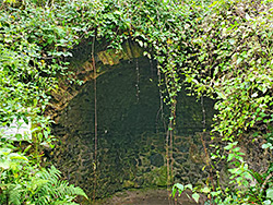 Grotto