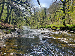 The river corridor