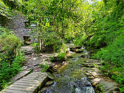 Ruins by the stream