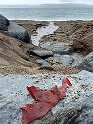 Sand and seaweed