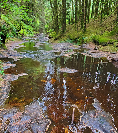 Afon Cammarch