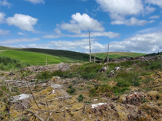 Cefn Garw